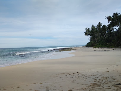 Wisata Pantai Desa Sinar Bahagia